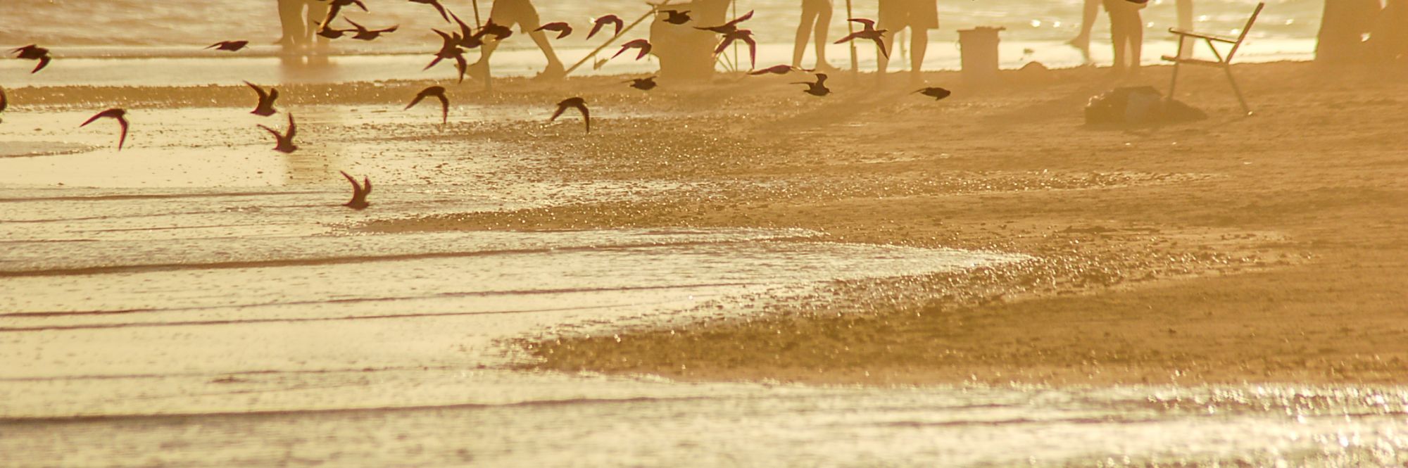 21 Febrero 2008 A Los Botes 00 15