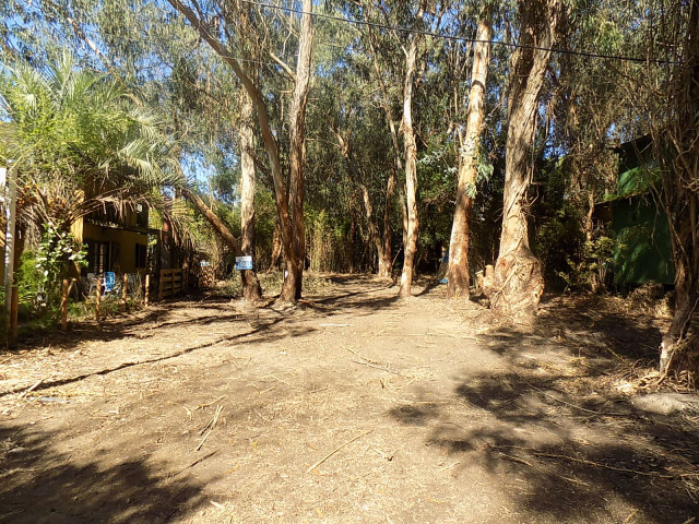 Terreno en La Pedrera T3187