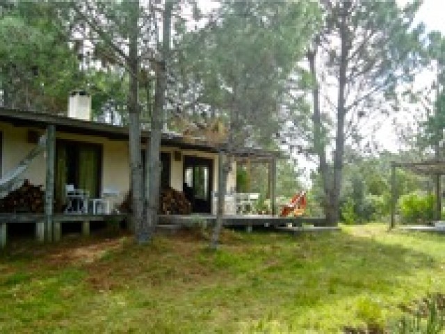 La Vaca en la Playa - El Triiángulo