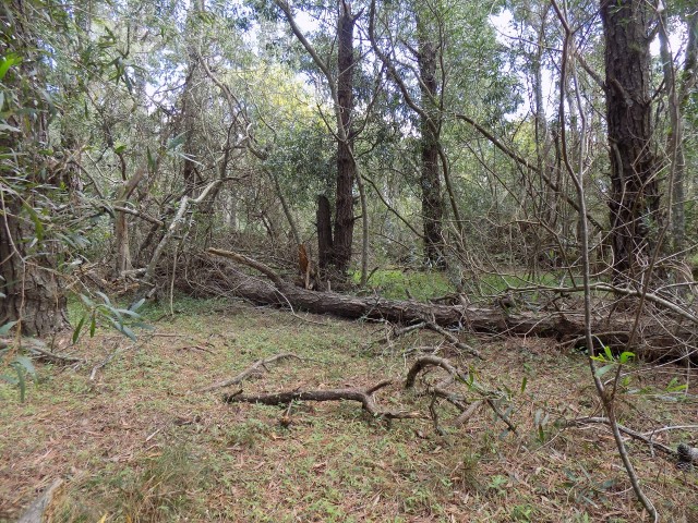 TERRENO ESQUINERO SANTA ISABEL 