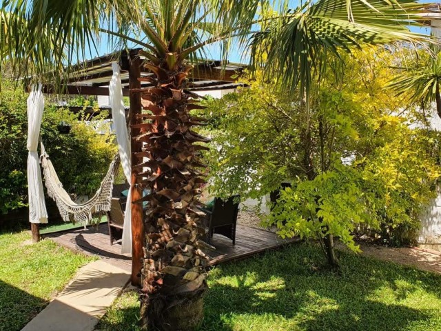 IMG_20211216_150352_119