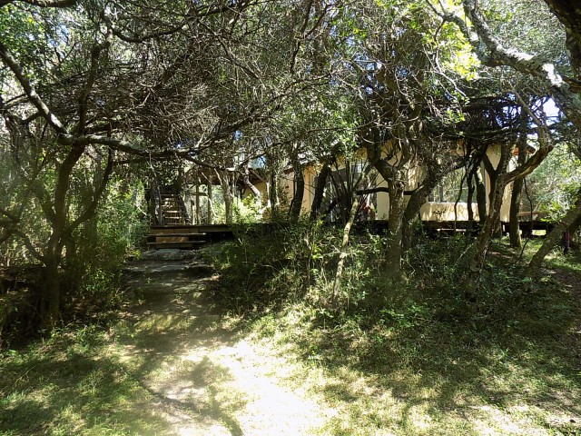 LA_SIESTA_EN_EL_BOSQUE_02