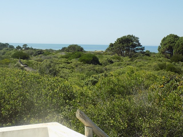 LA_SIESTA_EN_EL_BOSQUE_03