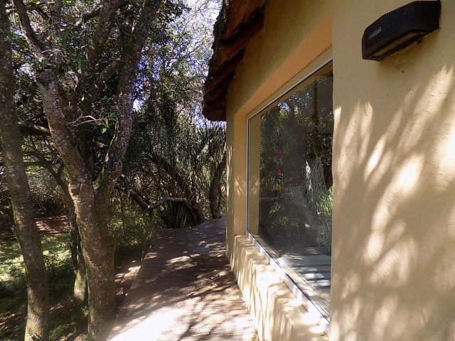 LA_SIESTA_EN_EL_BOSQUE_07