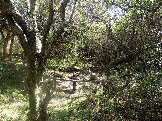 LA_SIESTA_EN_EL_BOSQUE_3