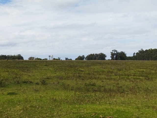 CHACRA 10 HAS PROXIMA A RUTA 10