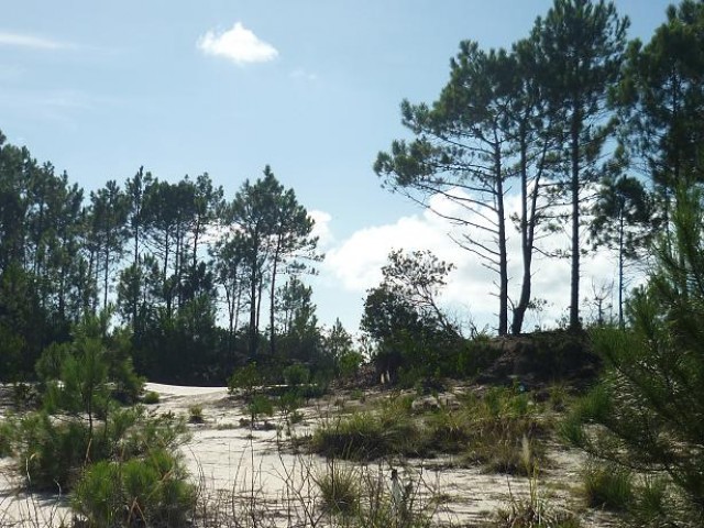 Terreno en Santa Isabel T2639 