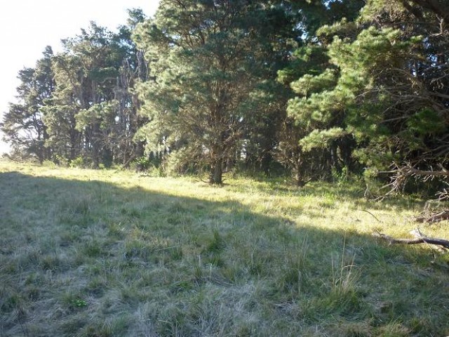 Terreno en Santa Isabel T2663