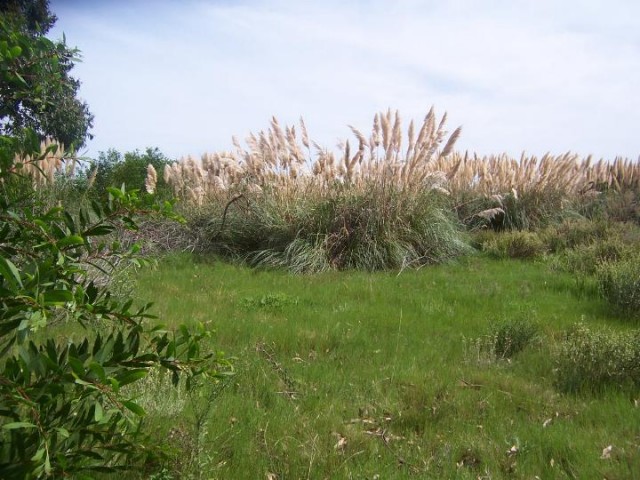 Terreno en San Sebastián T2731