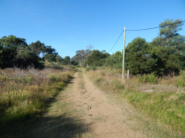 Terrenos en Playa Serena T2899
