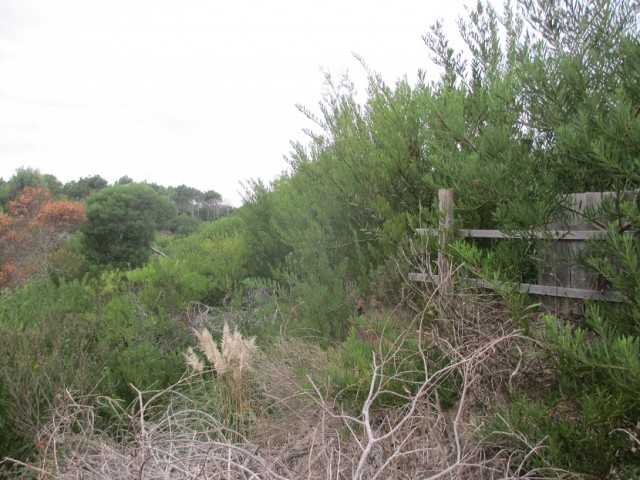 Terrenos en San Sebastián T3226
