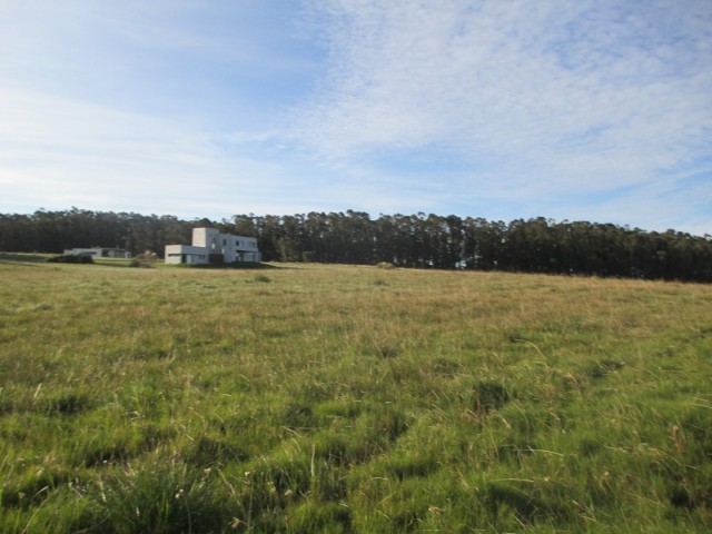 Tajamares de La Pedrera Lote 19